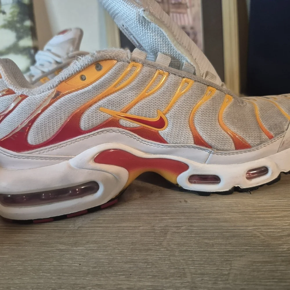 Nike Air Max Plus Sneakers(One shoelace is missing and it needs to be cleaned)